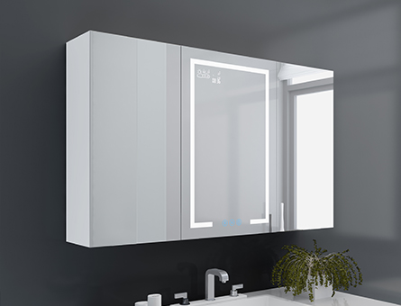 LED mirror bathroom DJG01